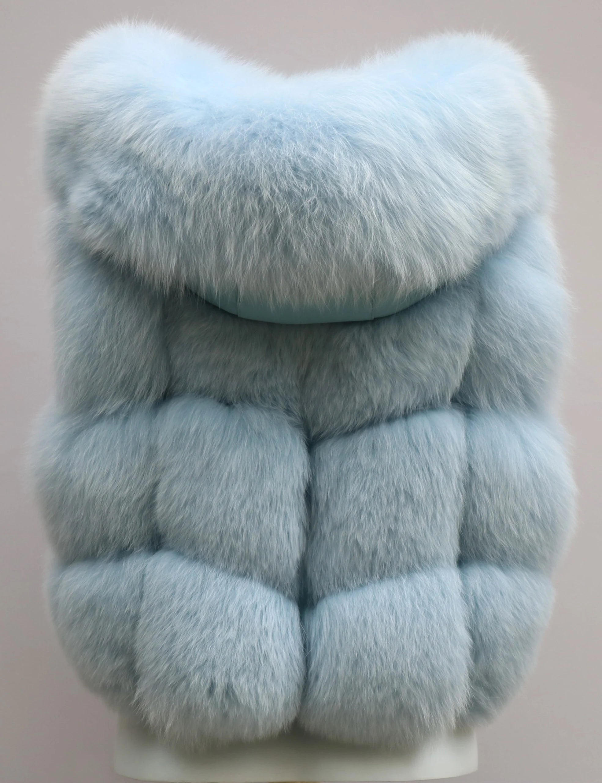 Real Silver Fox Fur Vest – Hooded Genuine Leather Sleeveless Jacket for Women